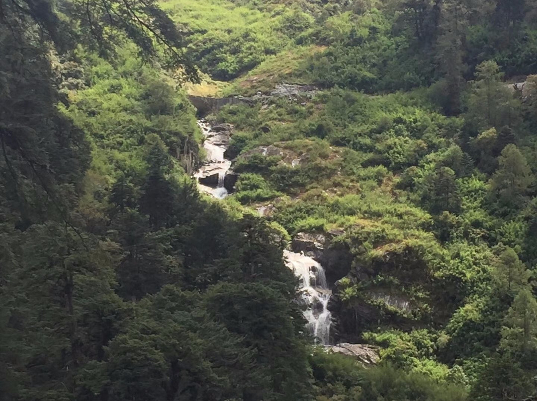 高黎贡山国家级自然保护区景点图片