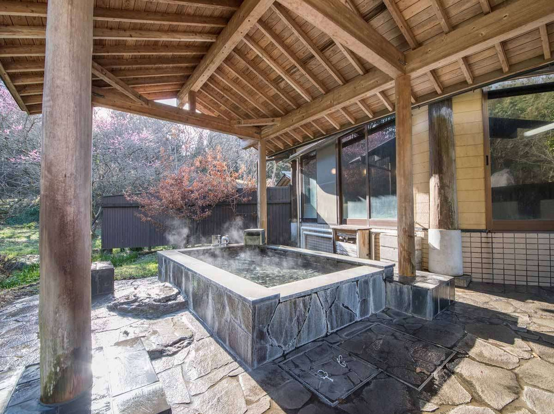 Ryokan Tokiwaso主图