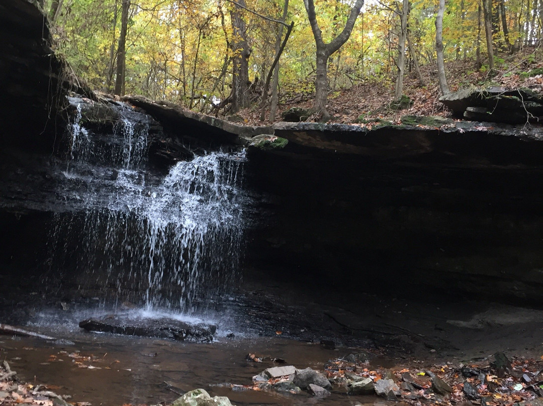 Lake Alma Hiking Trail-Alma必去景点
