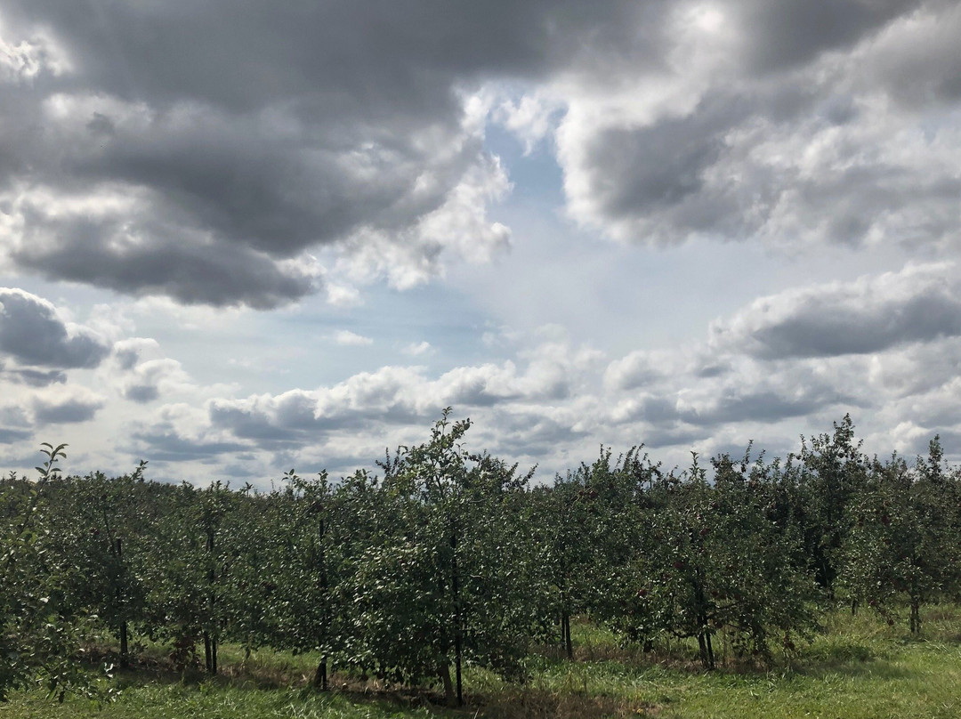 Applewood Orchard-Lakeville必去景点