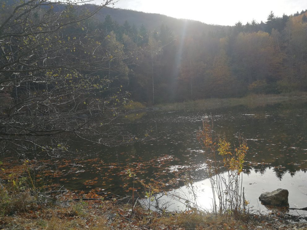 Sofia Green Tour-索非亚必去景点