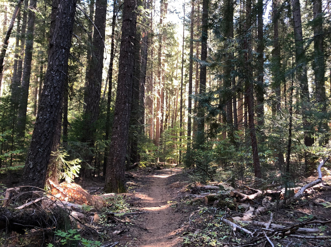 The Downieville Downhill-Downieville必去景点