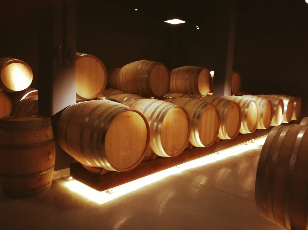 Bodegas Lavia-Cehegin必去景点