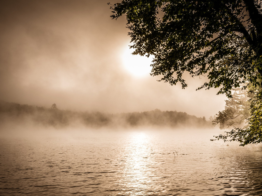 Ricker Pond State Park景点图片