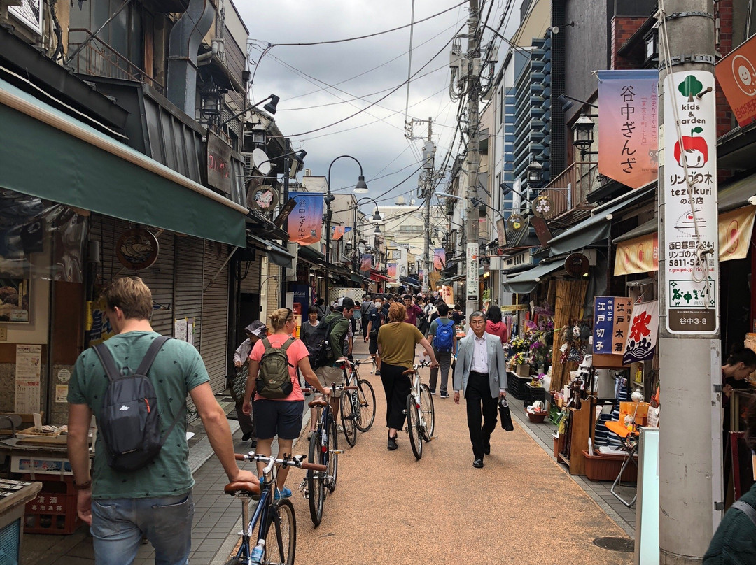 Off-Street Cycling Tokyo景点图片