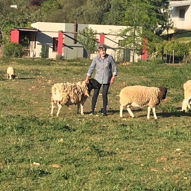 Oudemuragie Guest Farm-官方