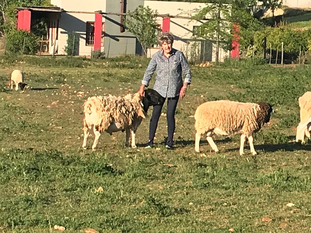 Oudemuragie Guest Farm主图