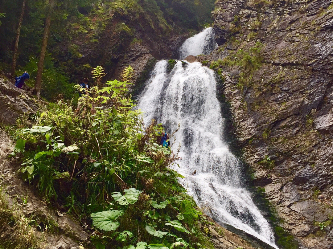 Bridal Veil Falls景点图片