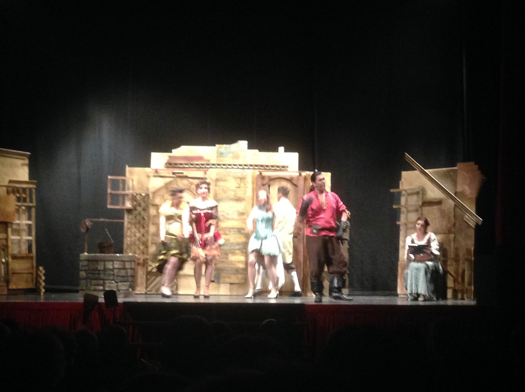 Teatro Sociale Soresina景点图片