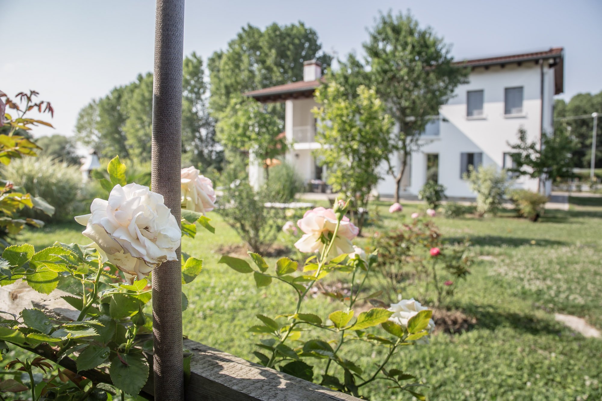 Giardino di Olga-官方