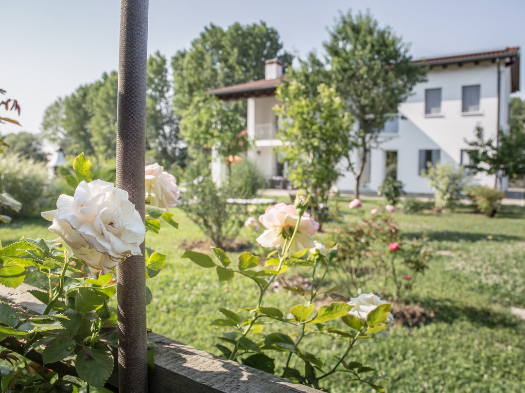 Scaltenigo酒店住宿-Giardino di Olga