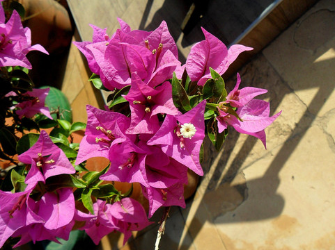 波萨达博阿维斯塔酒店主图