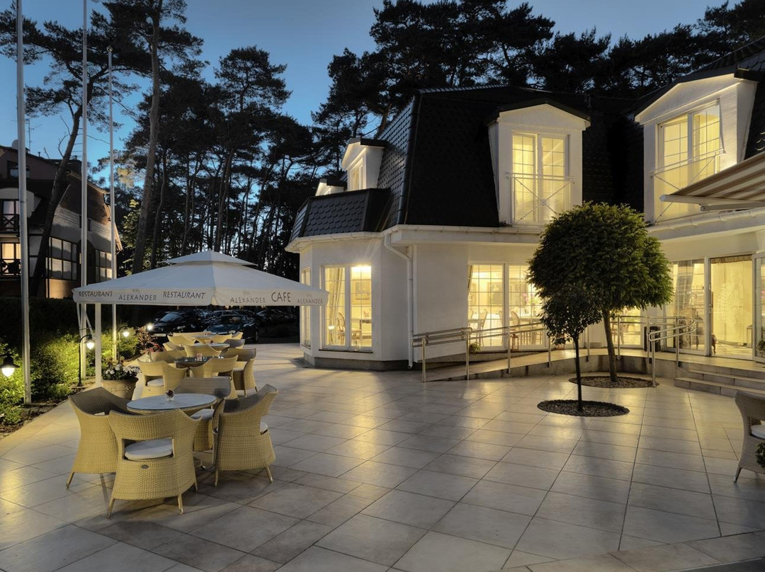 Willa Alexander Resort & SPA主图