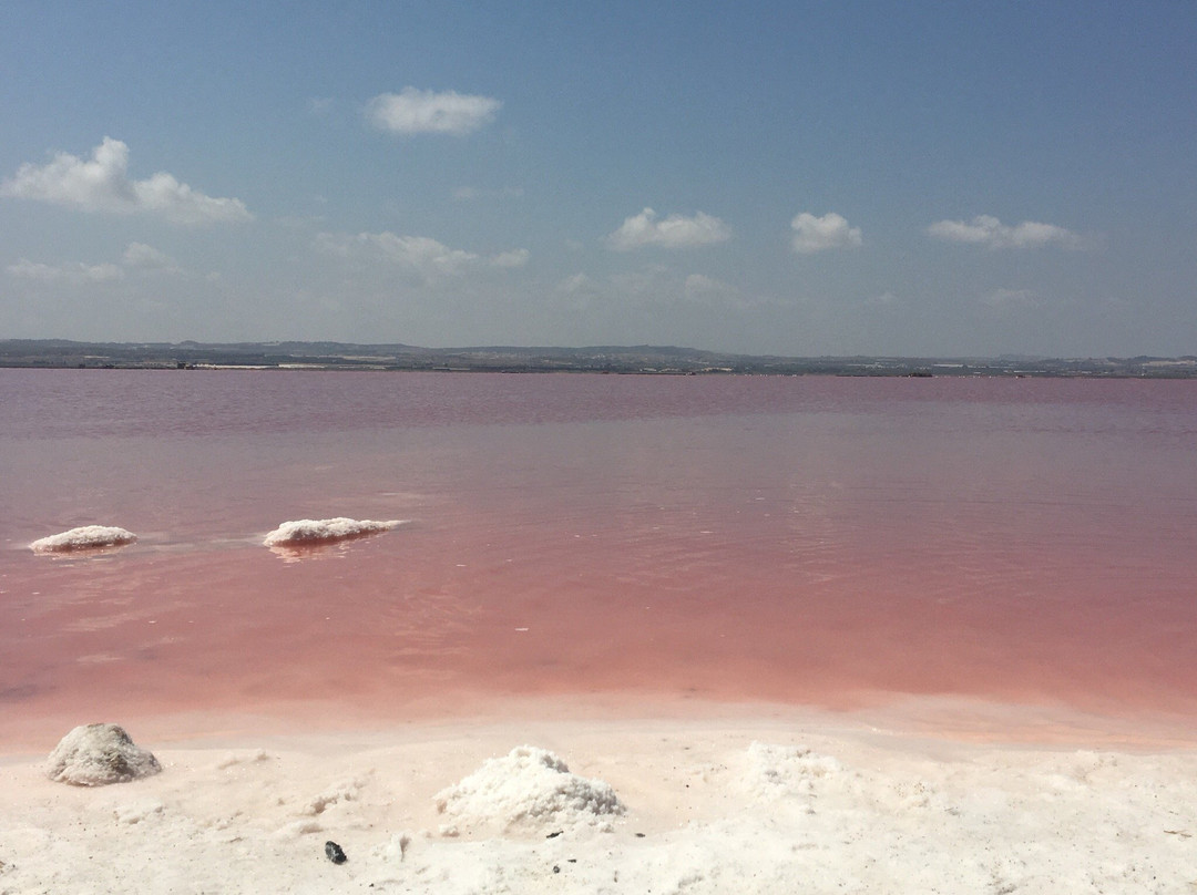 El Chaparral旅游景点-BAR BURGOS