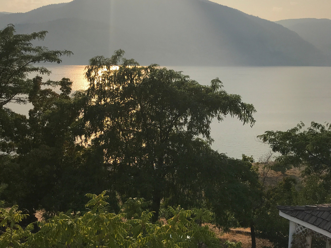 God's Mountain Estate主图