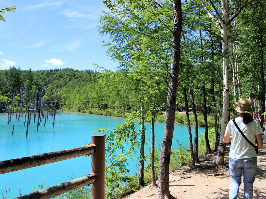 Bieiguide Cycling Tour Snowshoe Tour-美瑛町必去景点