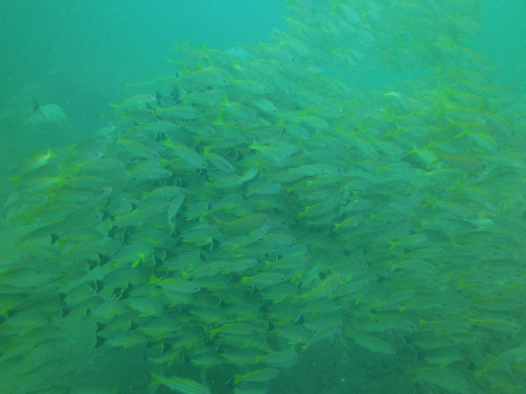 Sunshine Diving-Trincomalee必去景点