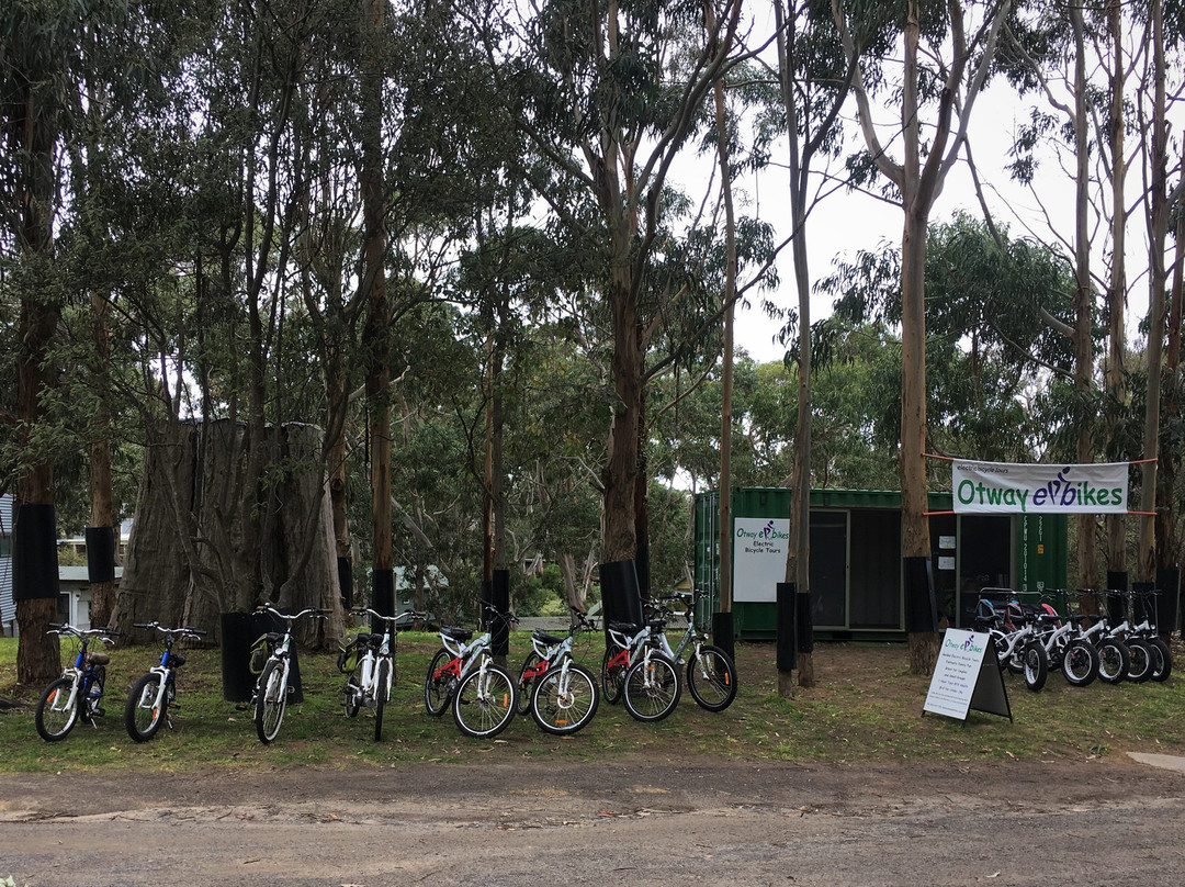 Otway E Bikes-Beech Forest必去景点
