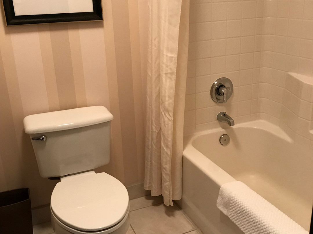 比弗顿希尔顿逸林酒店主图