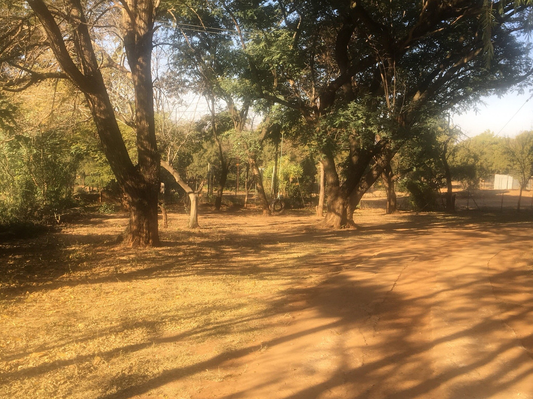 Farmstay Cynthia's主图