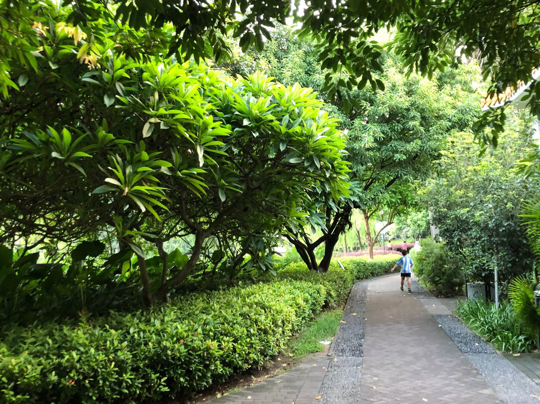 逸仙湖公园-中山市必去景点
