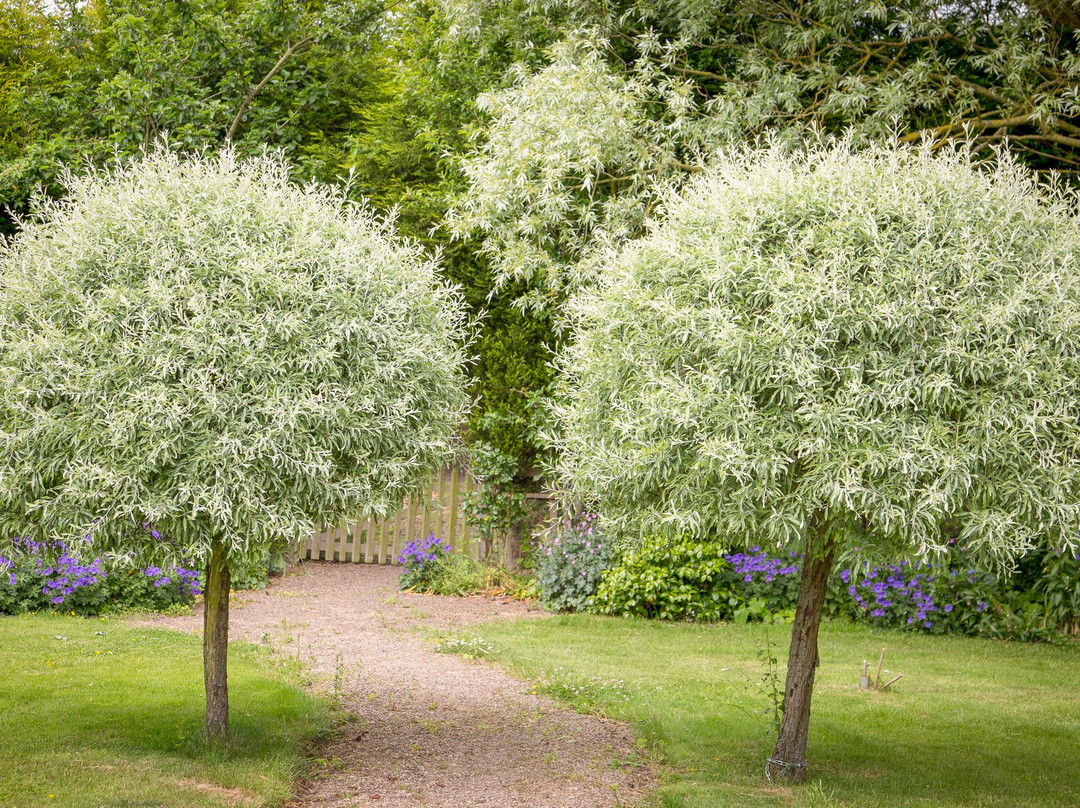 The Granary Bed And Breakfast主图