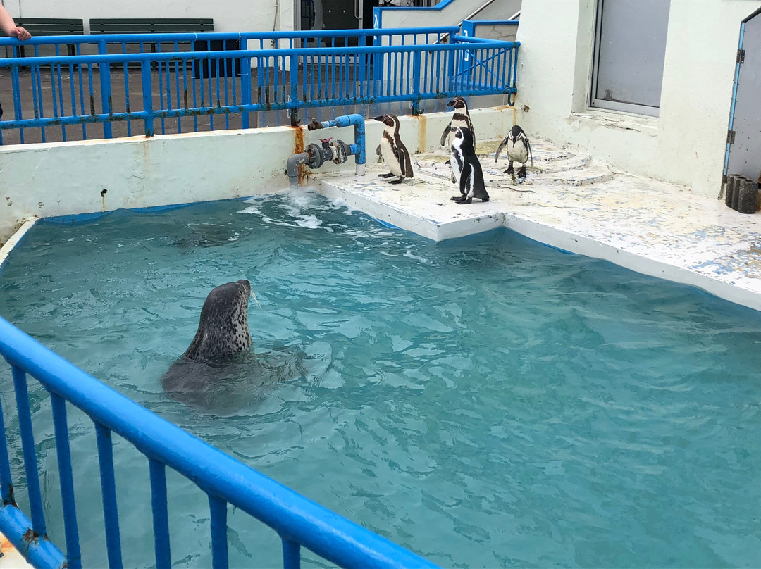 Wakkanai City Noshappu Aquarium