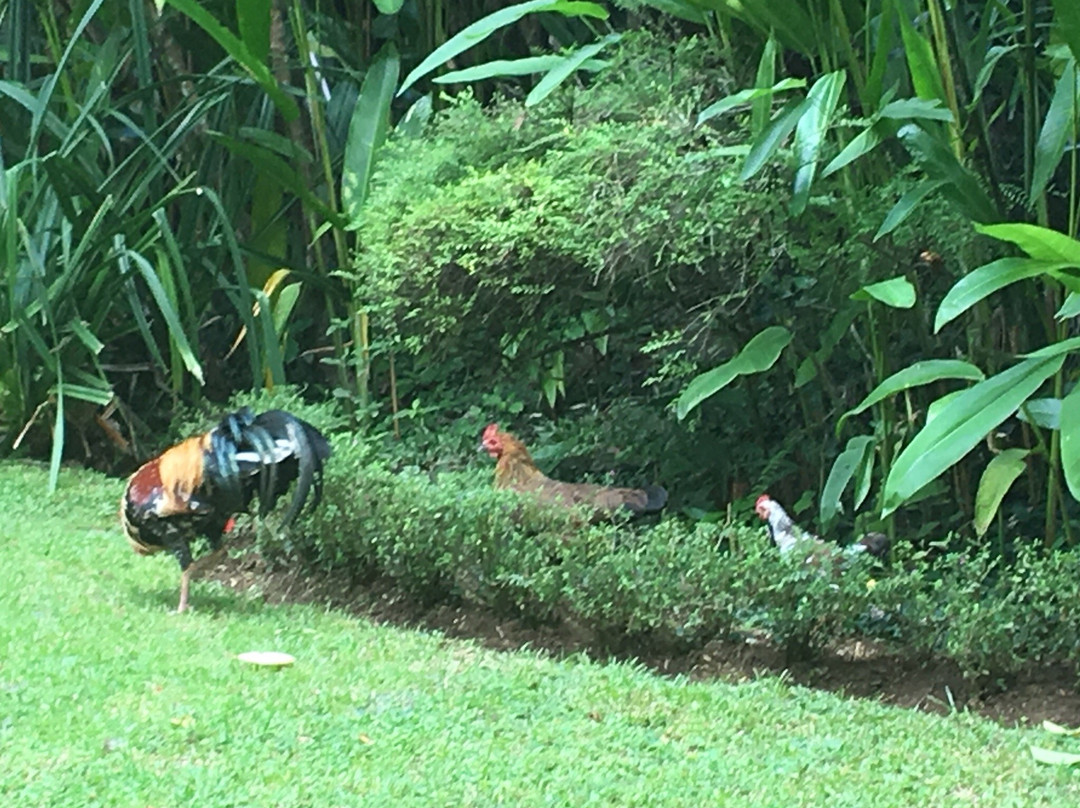 阿拉曼达精英之家别墅主图