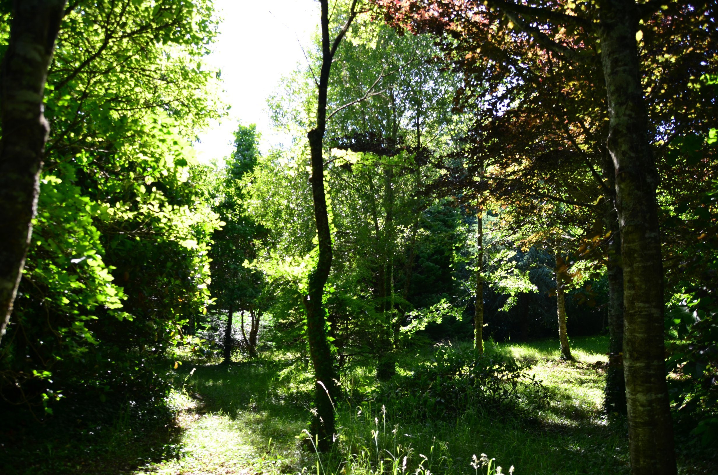 Manoir du Suguensou-官方