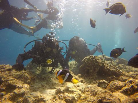 Best Dive Okinawa-恩纳村必去景点