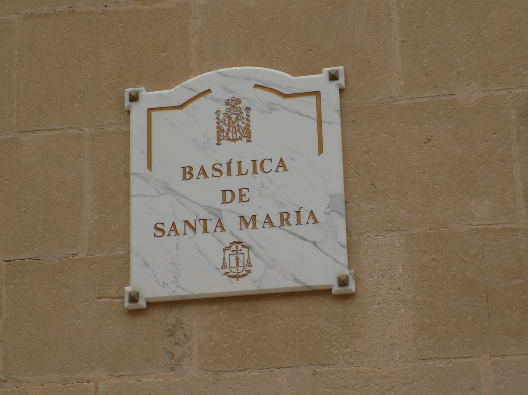 Basilica Santa Maria景点图片