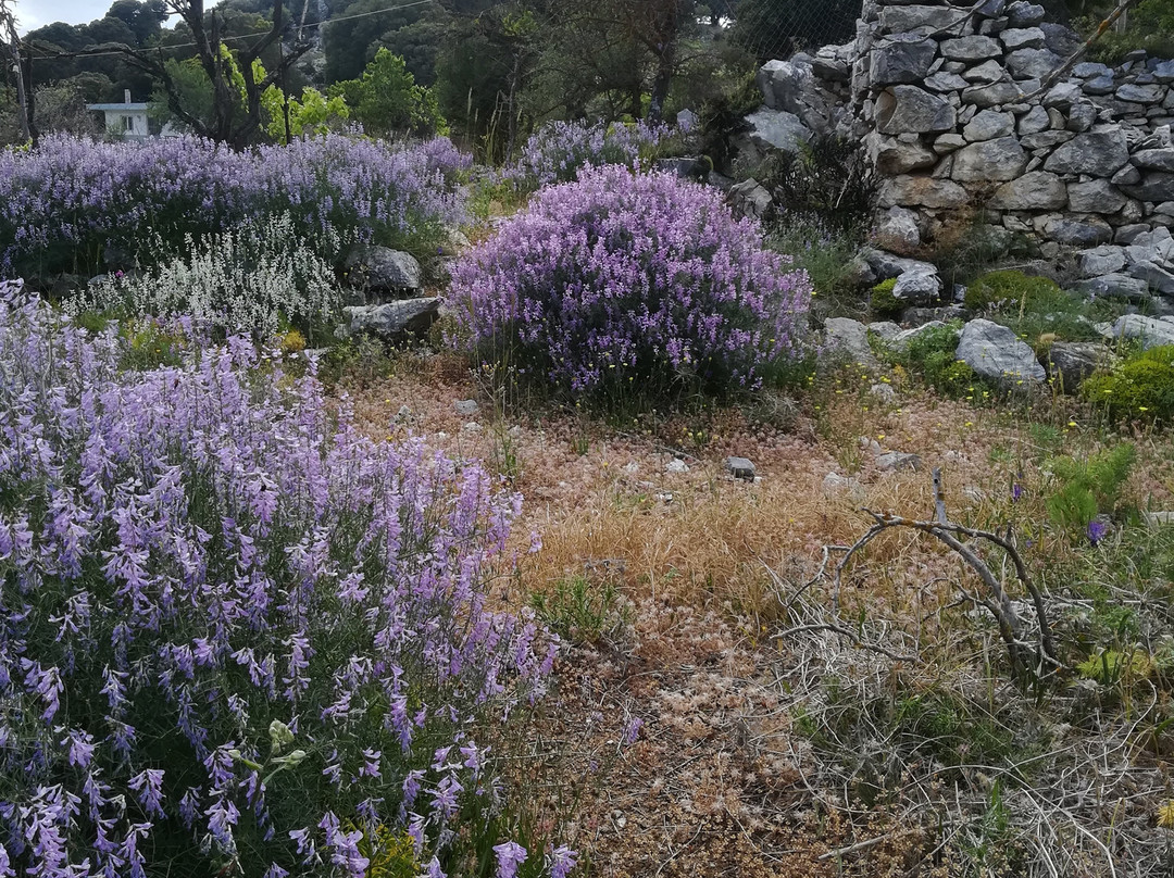 Katharo Plataeu-Agios Nikolaos必去景点
