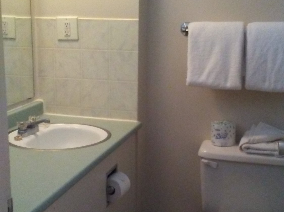 Fireweed Motel主图