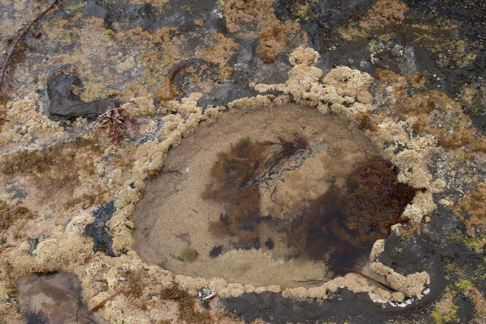 Wreck Beach景点图片