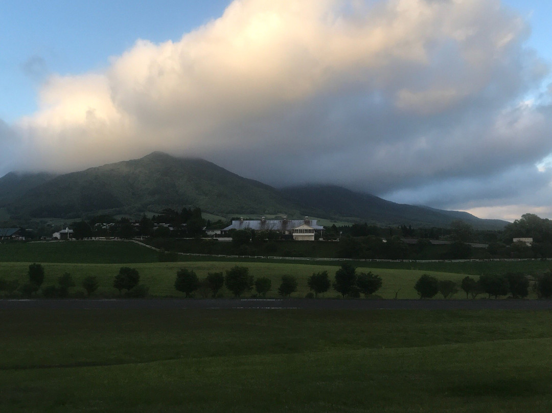 Hiruzen Kogen-真庭市必去景点
