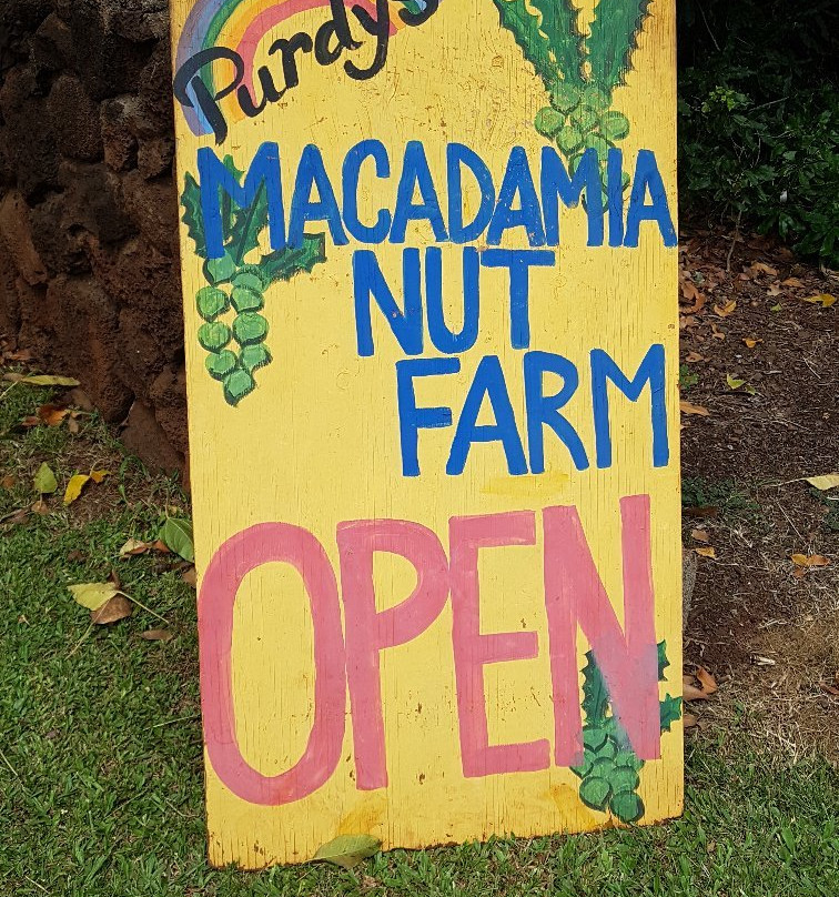 Purdy's All-Natural Macadamia Nut Farm-摩洛凯岛必去景点
