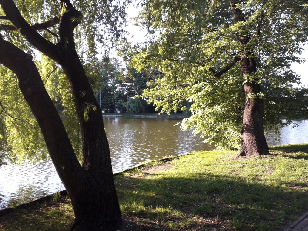 The Potulicki Park景点图片