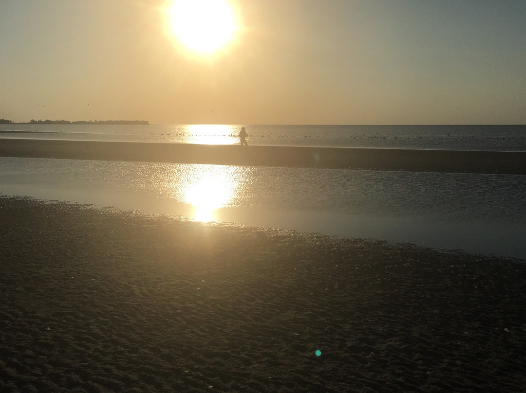 Patricia Beach Provincial Park-Pembina必去景点