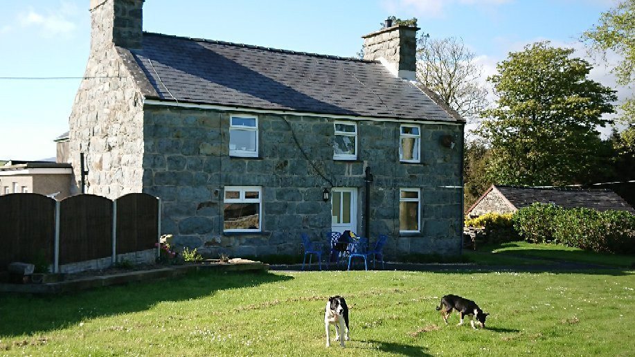 Llwyn Mafon Isaf B&B