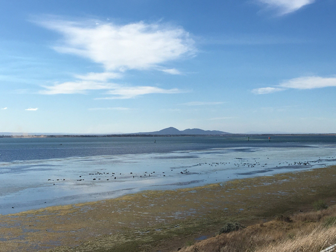 Point Henry Foreshore Reserve景点图片