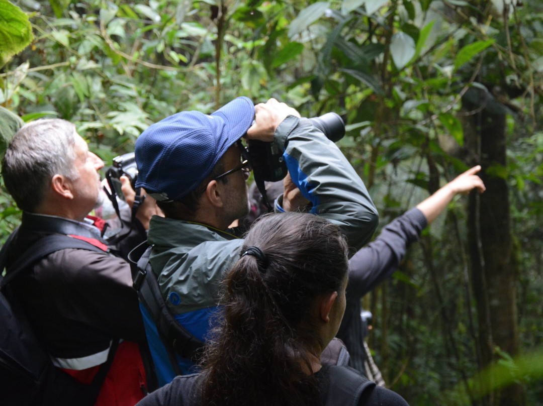 Parque Natural Los Tunos景点图片