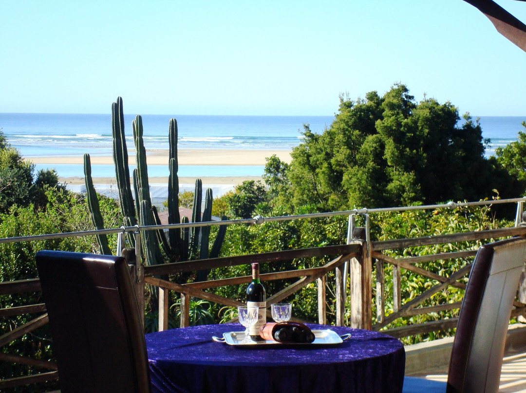 A Whale of a View主图