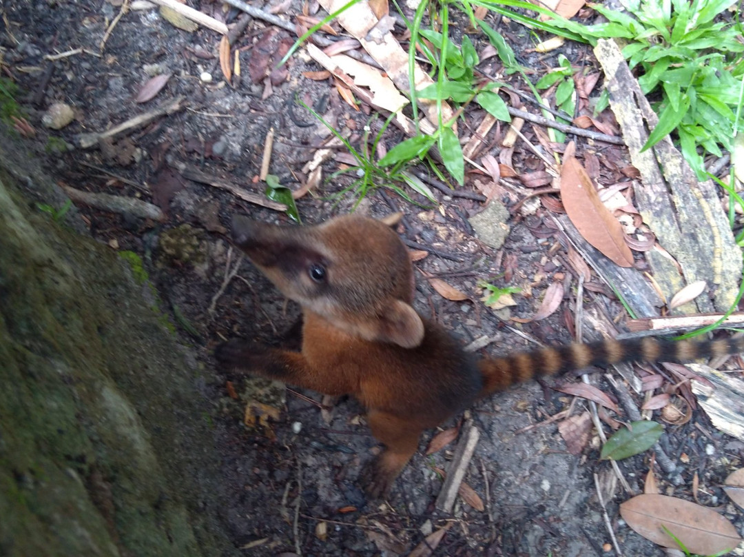 Parque Ambiental Municipal Adhemar Monteiro-Paragominas必去景点