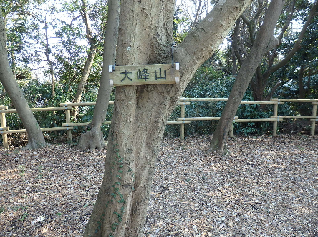 Hayama Sangaokayama Ryokuchi景点图片