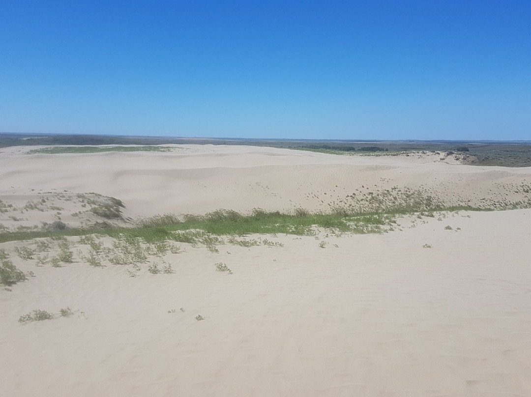 Great Sandhills Museum & Interpretive Centre-Sceptre必去景点