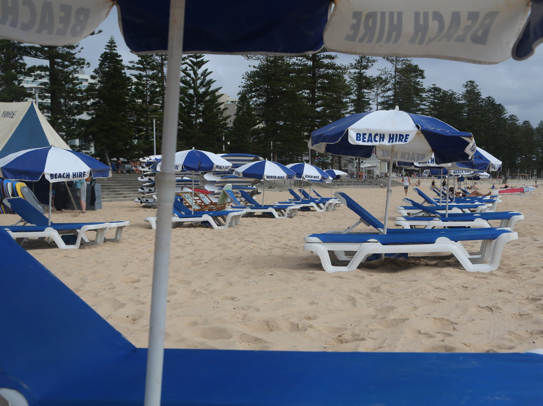 Manly Beach Hire-曼利议会必去景点