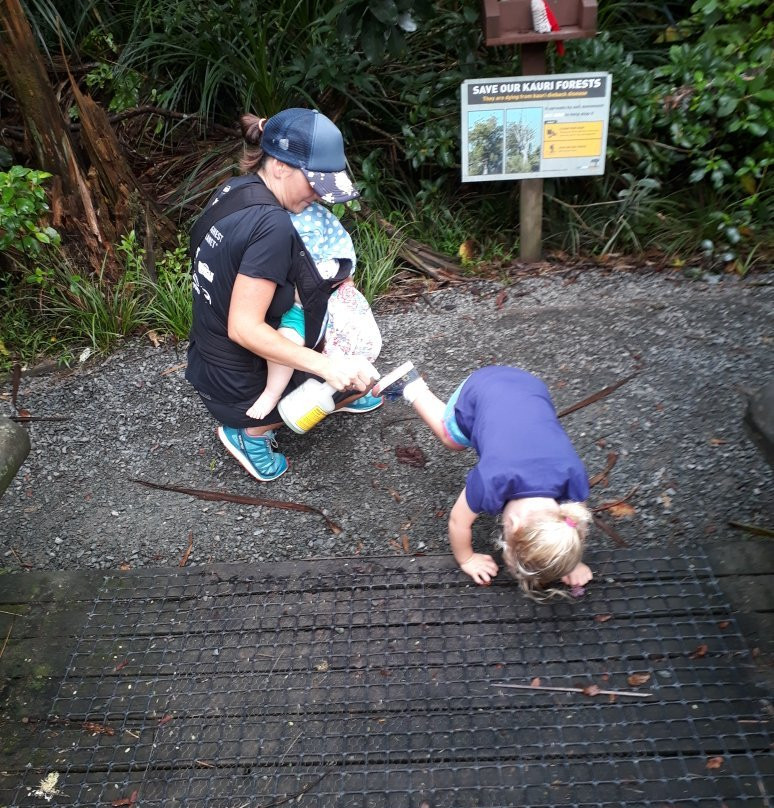 Alice Eaves Scenic Reserve-奥雷瓦必去景点