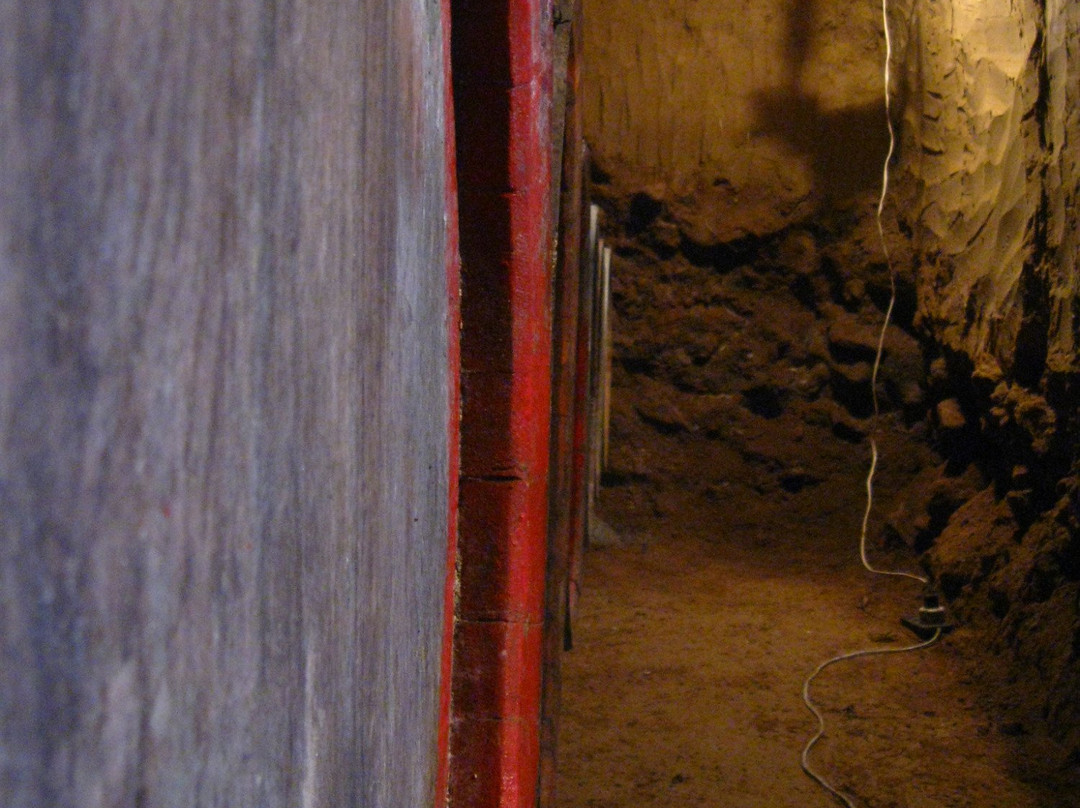 Paulay Winehouse主图