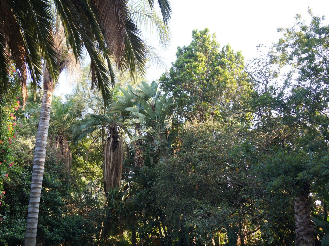 非洲巖酒店主图