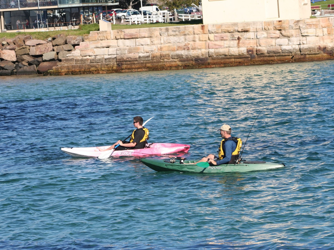 Nowra Kayak Hire景点图片